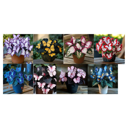 🦋 Verspielte Blumensamen in Schmetterlingsform ✨