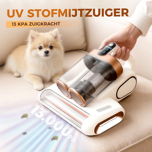 🔥🔥Sonderangebot🎁💥Matratzenstaubsauger – Entfernt effektiv Hausstaubmilben 🛏️✨