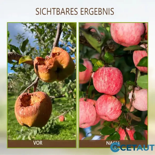 🌿💪ECOCERT Bodenverbesserung – Gesunder Boden, Blühender Garten! 🌱✨