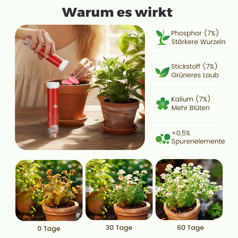 🔥Blumen glücklich machen – ganz ohne Aufwand!Bio-Dünger Tabletten | Langzeitwirkung für üppige Pflanzen | 50% Rabatt 🌱
