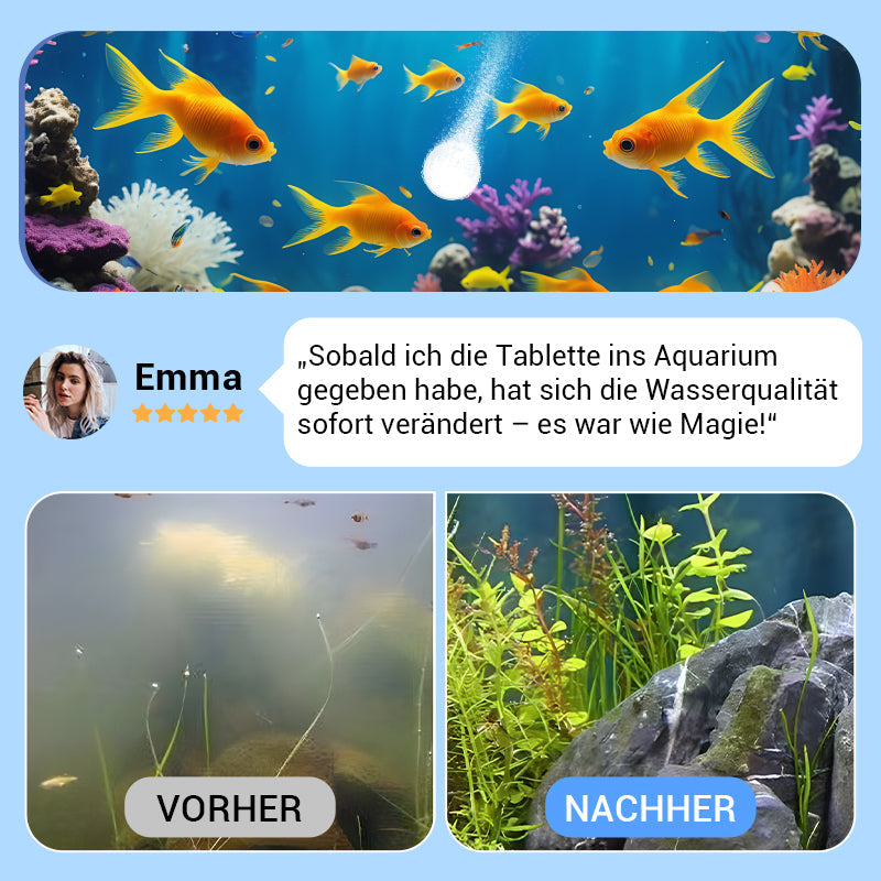 ♻️💧Leistungsstarke Wasserreinigungstablette für Aquarien