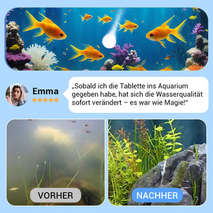 ♻️💧Leistungsstarke Wasserreinigungstablette für Aquarien