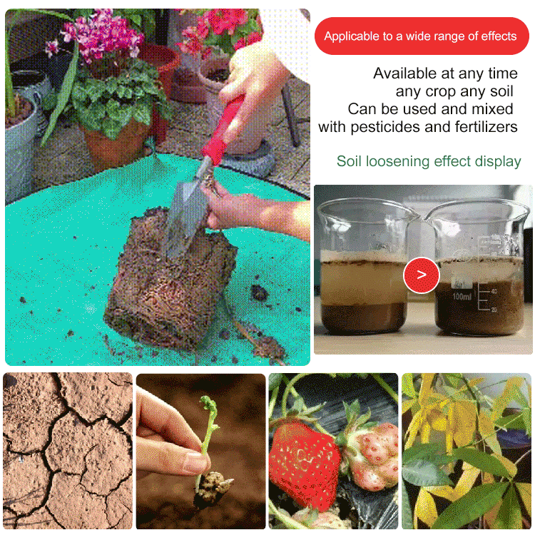 🌿💪ECOCERT Bodenverbesserung – Gesunder Boden, Blühender Garten! 🌱✨