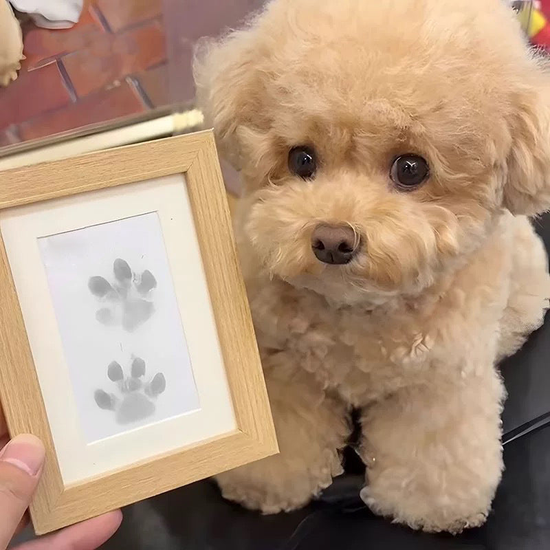 🎁 50% OFF🐶Pet Paw Printing Kit🐾🐾