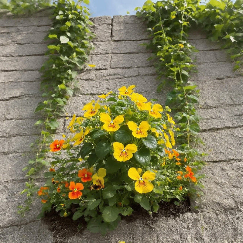 🦋 Verspielte Blumensamen in Schmetterlingsform ✨