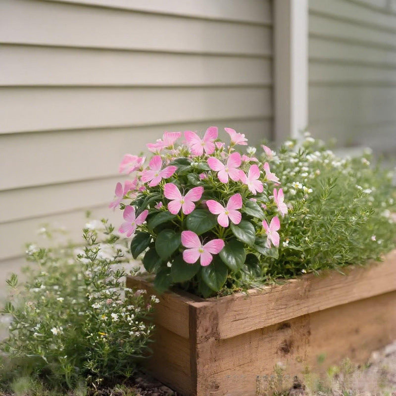 🦋 Verspielte Blumensamen in Schmetterlingsform ✨