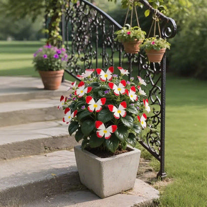 🦋 Verspielte Blumensamen in Schmetterlingsform ✨