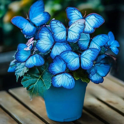 🦋 Verspielte Blumensamen in Schmetterlingsform ✨